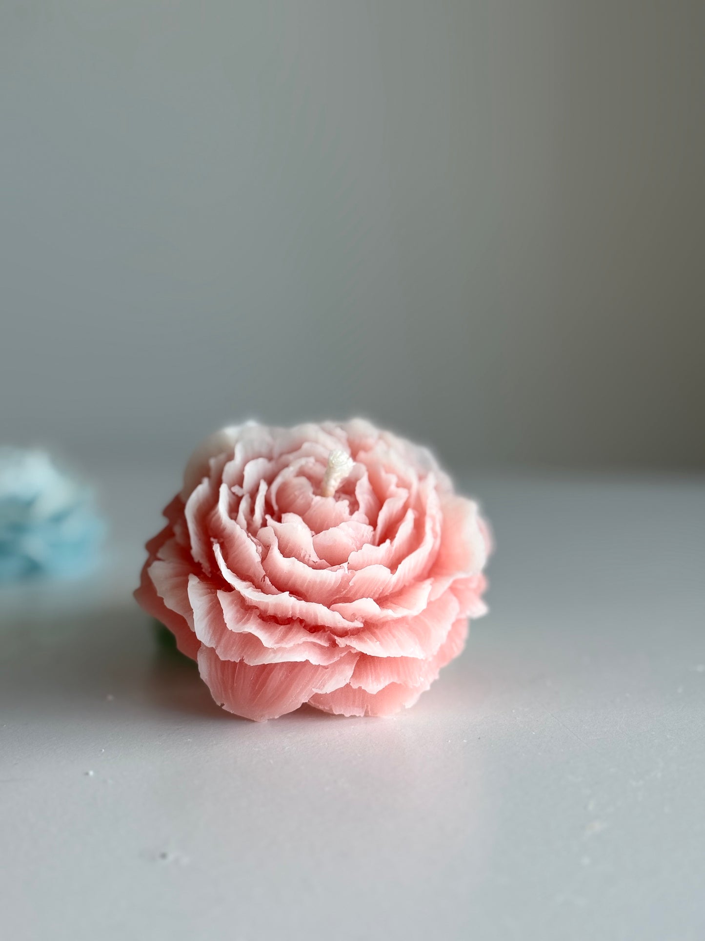 Rosa / Pink