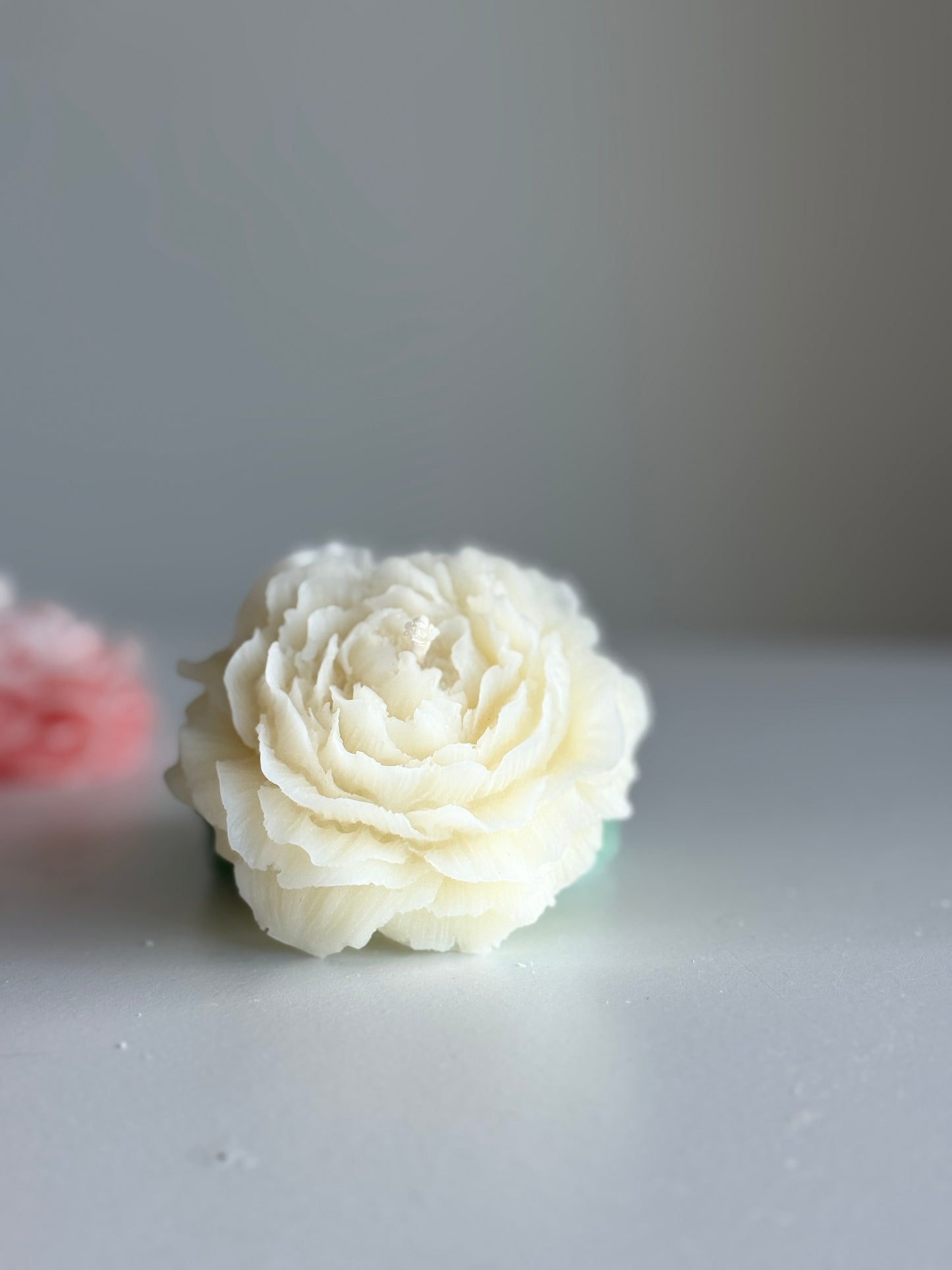 Cremefarbe / Cream